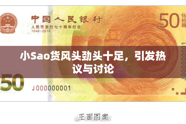 小Sao货风头劲头十足，引发热议与讨论
