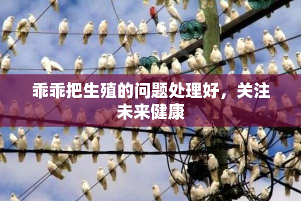 乖乖把生殖的问题处理好，关注未来健康
