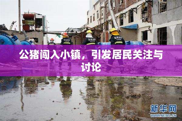 公猪闯入小镇，引发居民关注与讨论