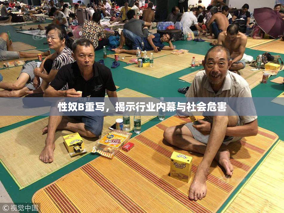 性奴B重写，揭示行业内幕与社会危害