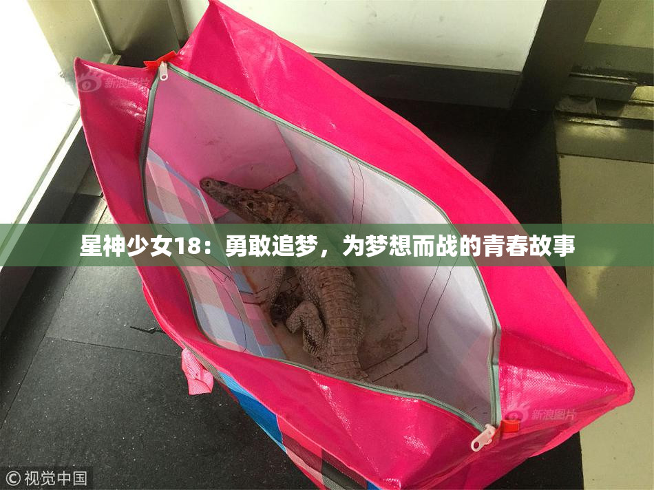 星神少女18：勇敢追梦，为梦想而战的青春故事