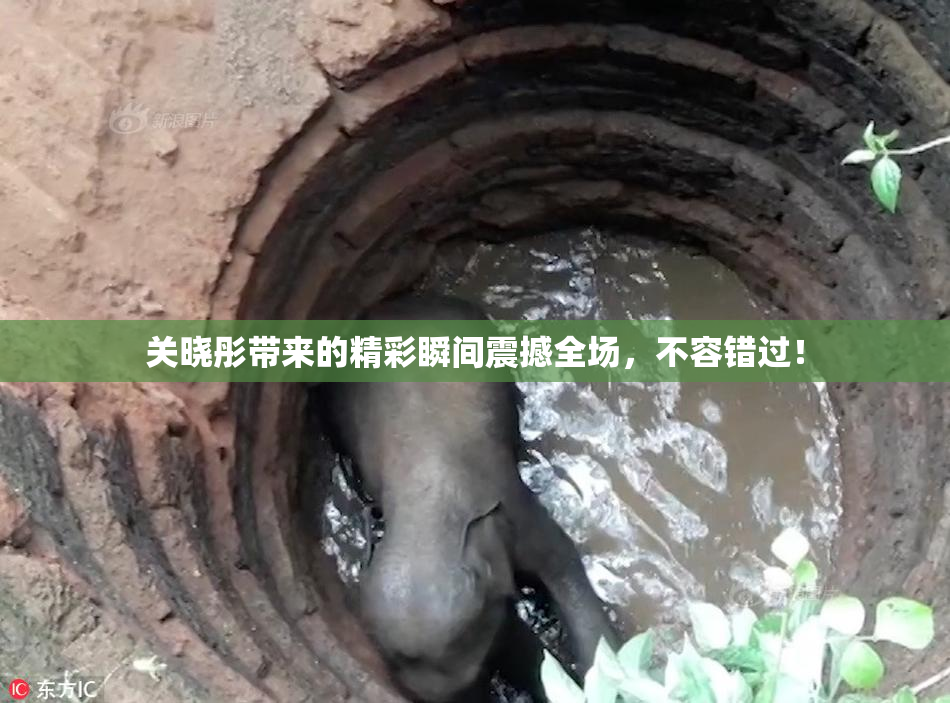 关晓彤带来的精彩瞬间震撼全场，不容错过！