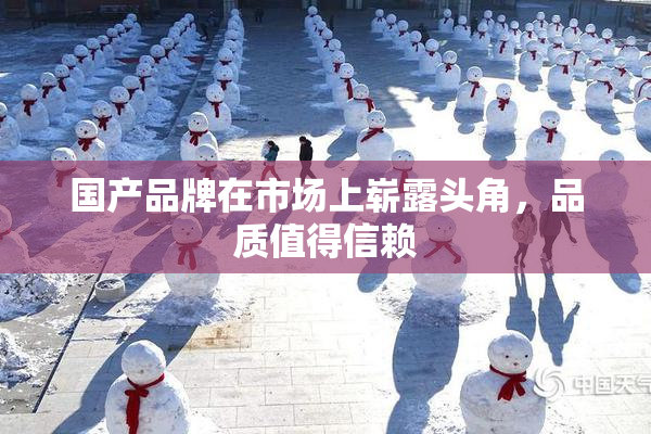 国产品牌在市场上崭露头角，品质值得信赖