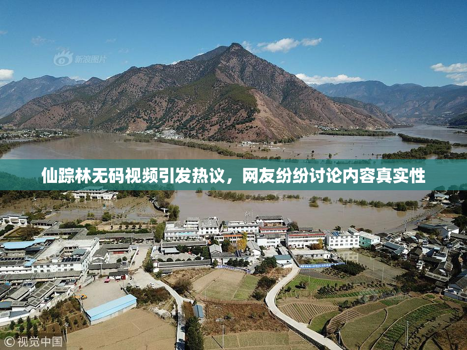 仙踪林无码视频引发热议，网友纷纷讨论内容真实性