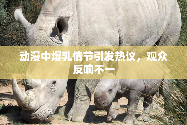 动漫中爆乳情节引发热议，观众反响不一