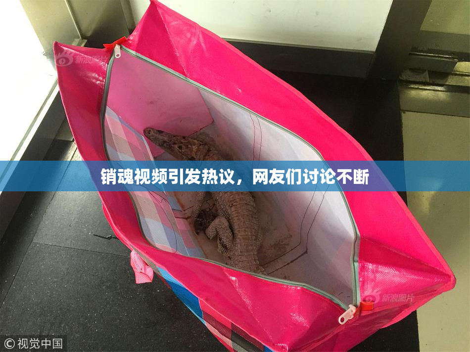 销魂视频引发热议，网友们讨论不断
