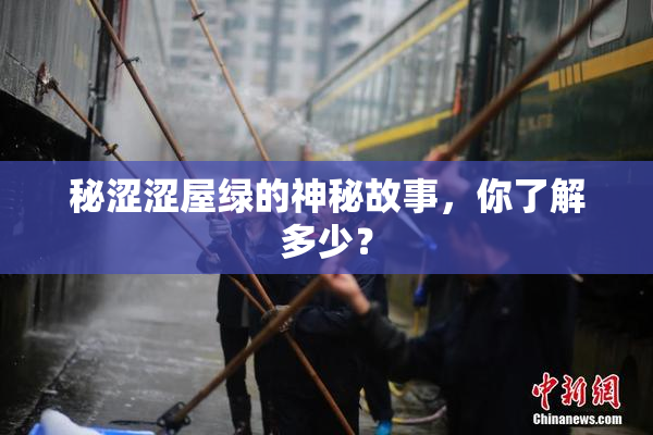 秘涩涩屋绿的神秘故事，你了解多少？