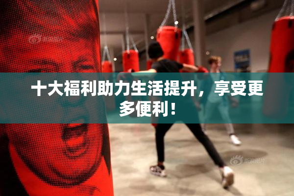 十大福利助力生活提升，享受更多便利！