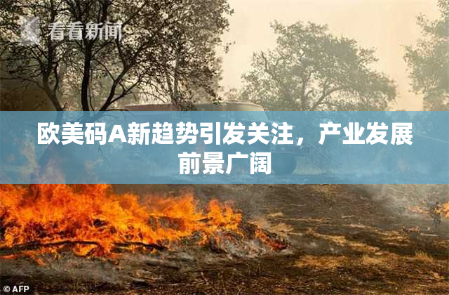 欧美码A新趋势引发关注，产业发展前景广阔