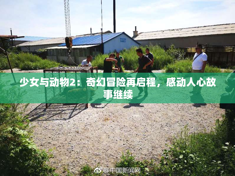 少女与动物2：奇幻冒险再启程，感动人心故事继续