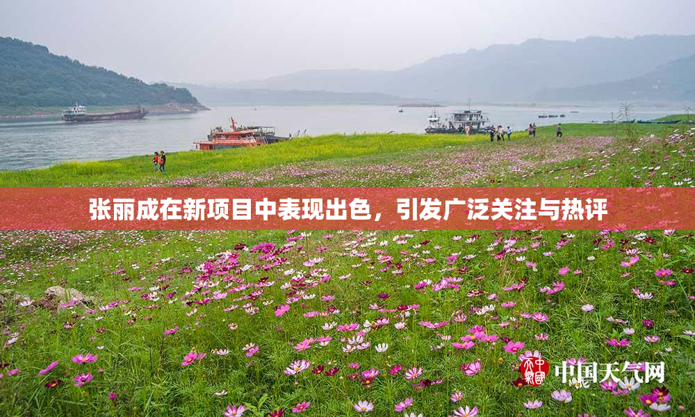 张丽成在新项目中表现出色，引发广泛关注与热评