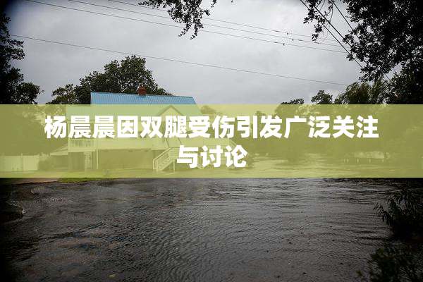 杨晨晨因双腿受伤引发广泛关注与讨论