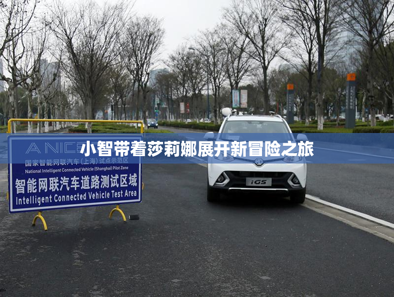 小智带着莎莉娜展开新冒险之旅