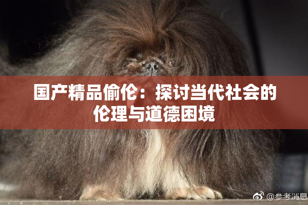 国产精品偷伦：探讨当代社会的伦理与道德困境