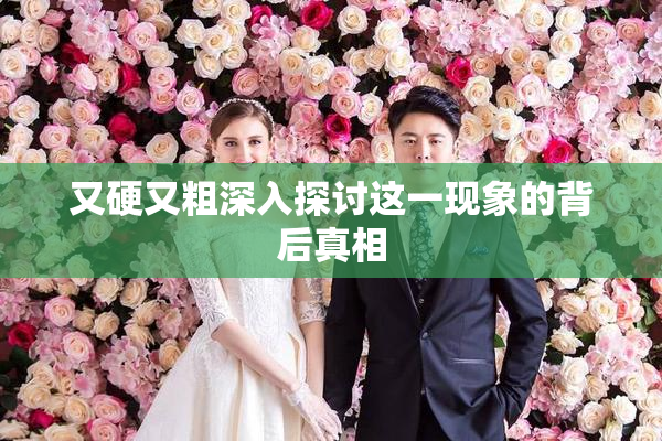 又硬又粗深入探讨这一现象的背后真相