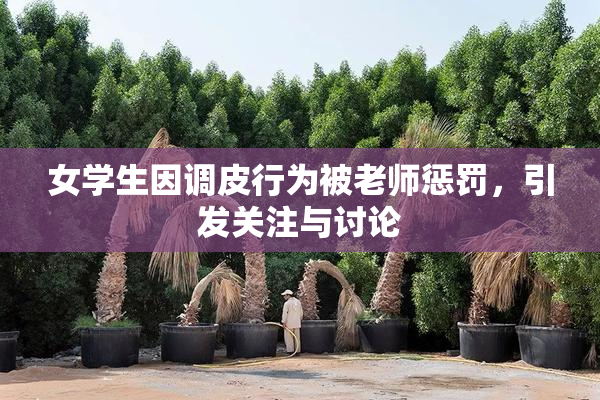 女学生因调皮行为被老师惩罚，引发关注与讨论