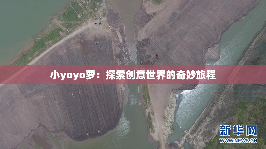小yoyo萝：探索创意世界的奇妙旅程