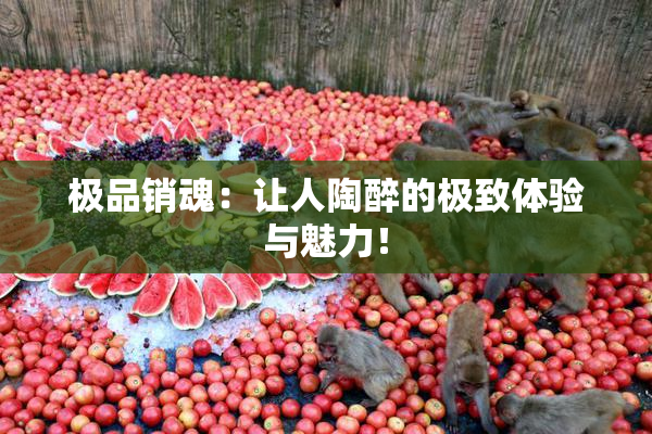极品销魂：让人陶醉的极致体验与魅力！