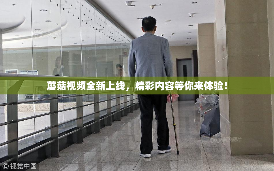 蘑菇视频全新上线，精彩内容等你来体验！