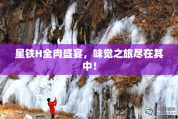 星铁H全肉盛宴，味觉之旅尽在其中！