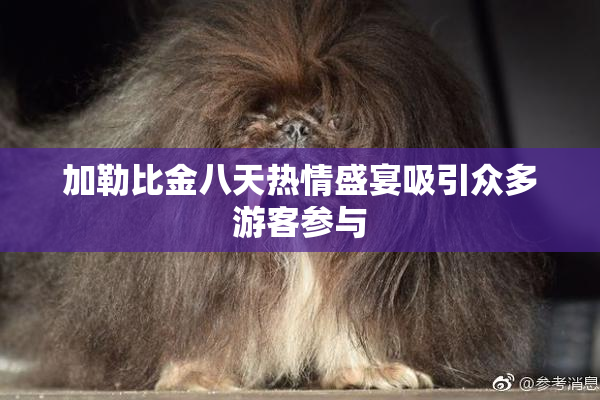 加勒比金八天热情盛宴吸引众多游客参与