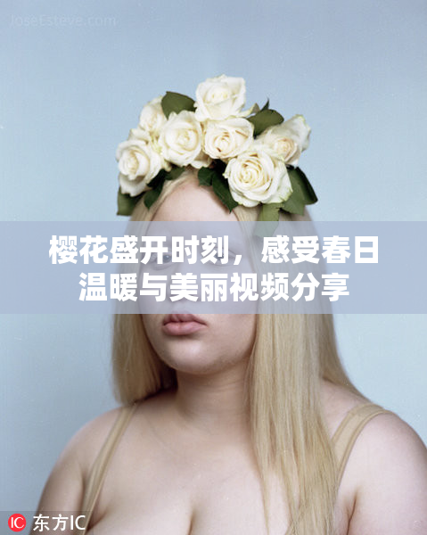 樱花盛开时刻，感受春日温暖与美丽视频分享