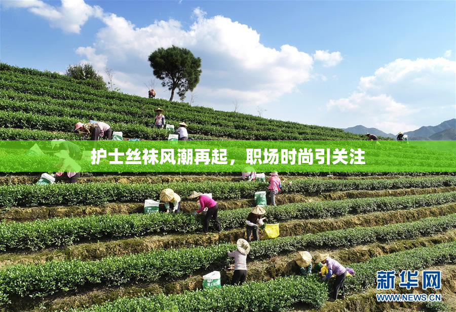 护士丝袜风潮再起，职场时尚引关注