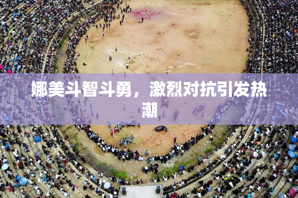 娜美斗智斗勇，激烈对抗引发热潮