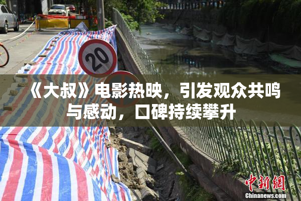 《大叔》电影热映，引发观众共鸣与感动，口碑持续攀升
