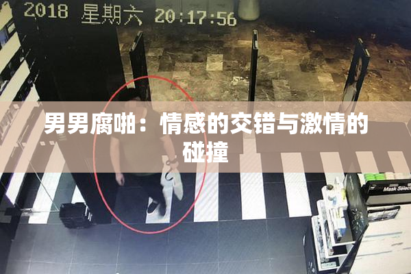 男男腐啪：情感的交错与激情的碰撞