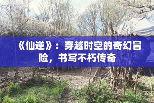 《仙逆》：穿越时空的奇幻冒险，书写不朽传奇