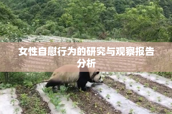 女性自慰行为的研究与观察报告分析