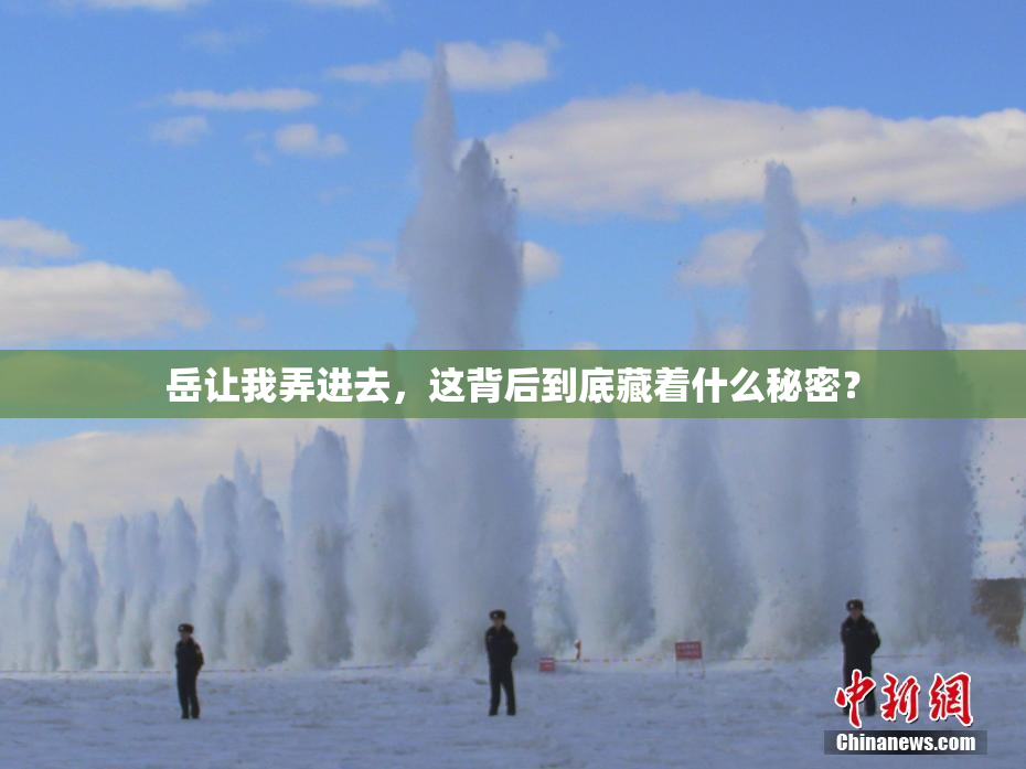 岳让我弄进去，这背后到底藏着什么秘密？