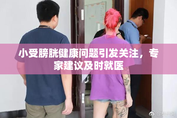 小受膀胱健康问题引发关注，专家建议及时就医