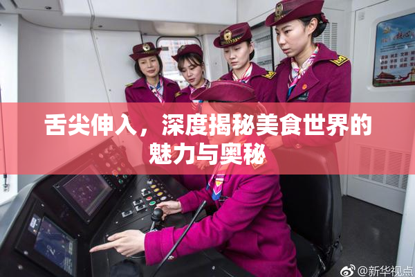 舌尖伸入，深度揭秘美食世界的魅力与奥秘