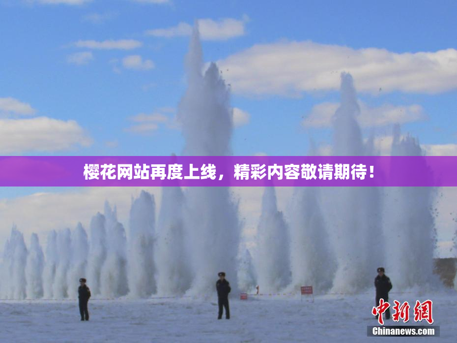 樱花网站再度上线，精彩内容敬请期待！