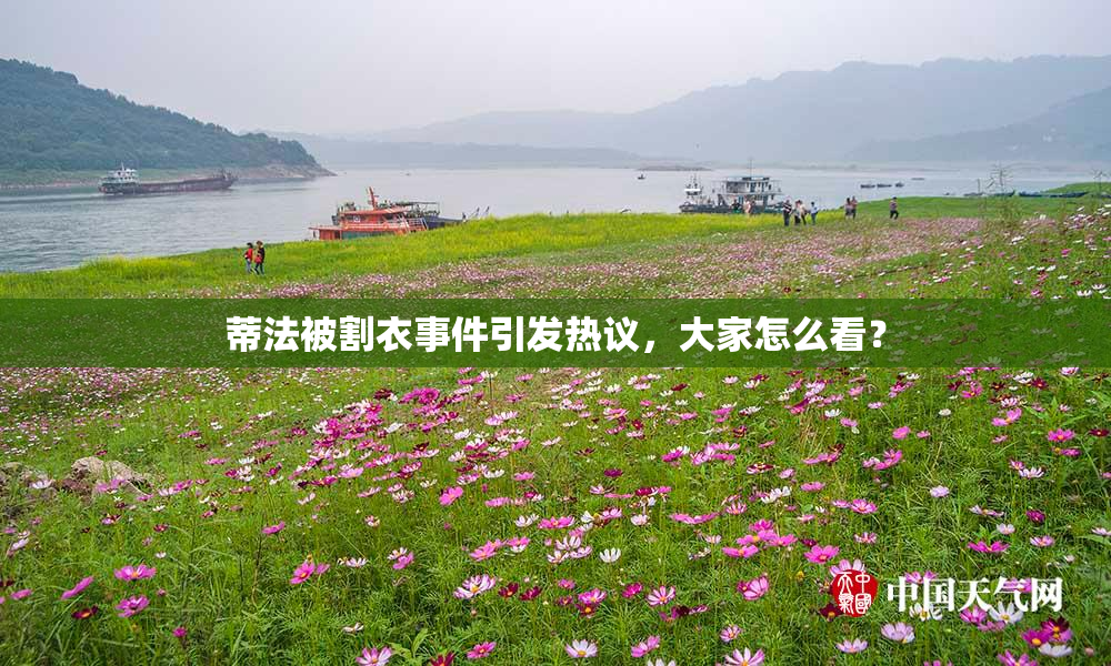蒂法被割衣事件引发热议，大家怎么看？