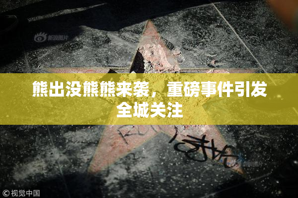 熊出没熊熊来袭，重磅事件引发全城关注