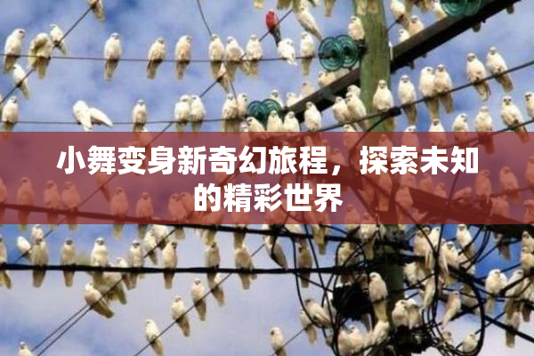 小舞变身新奇幻旅程，探索未知的精彩世界