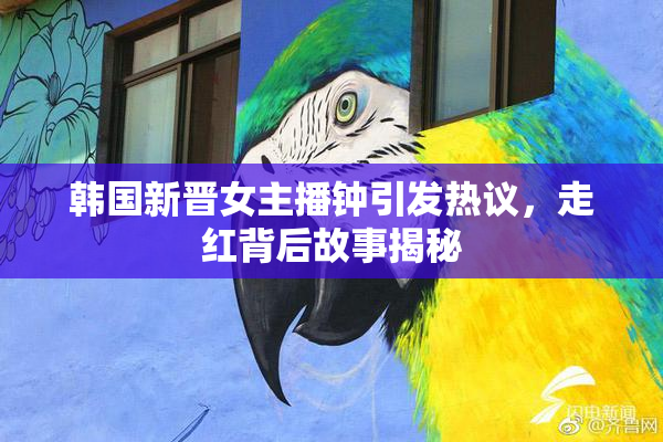 韩国新晋女主播钟引发热议，走红背后故事揭秘