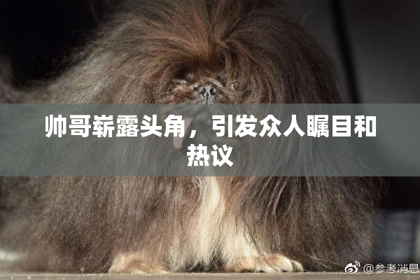 帅哥崭露头角，引发众人瞩目和热议