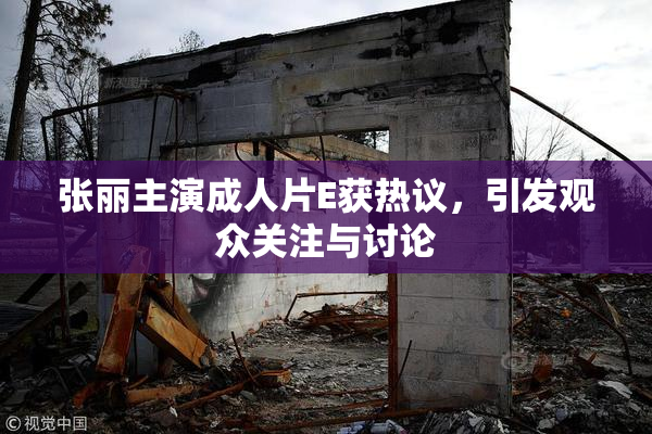 张丽主演成人片E获热议，引发观众关注与讨论