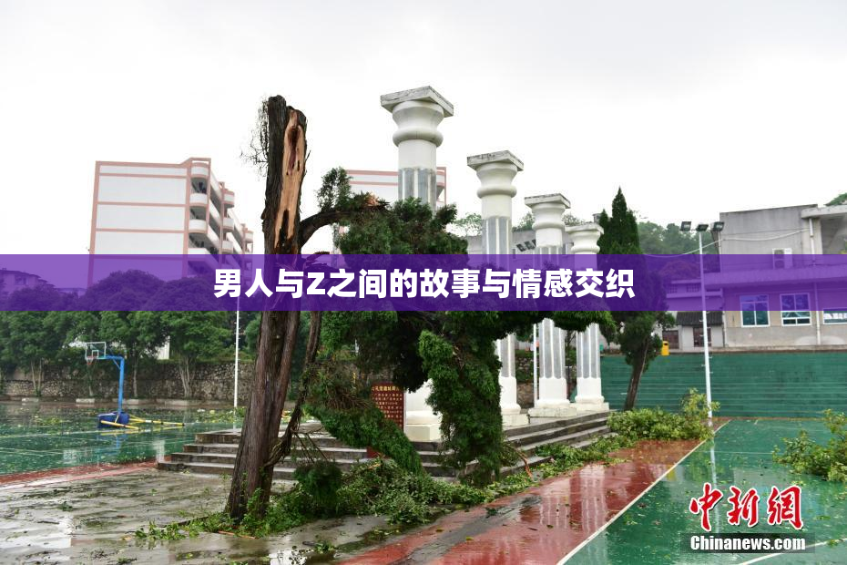 男人与Z之间的故事与情感交织