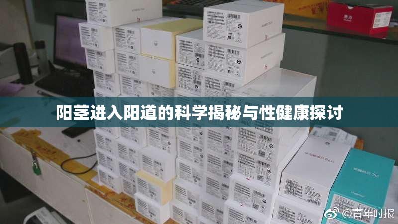阳茎进入阳道的科学揭秘与性健康探讨
