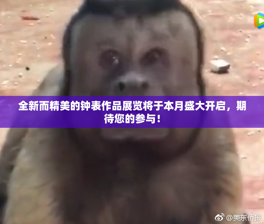 全新而精美的钟表作品展览将于本月盛大开启，期待您的参与！