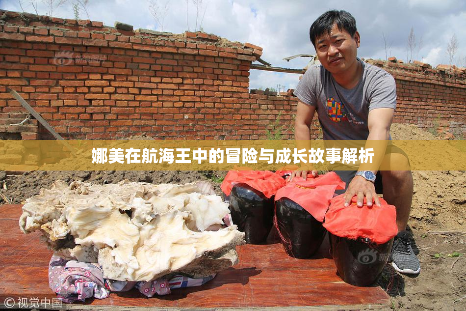 娜美在航海王中的冒险与成长故事解析