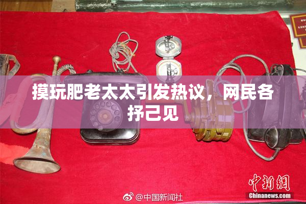 摸玩肥老太太引发热议，网民各抒己见