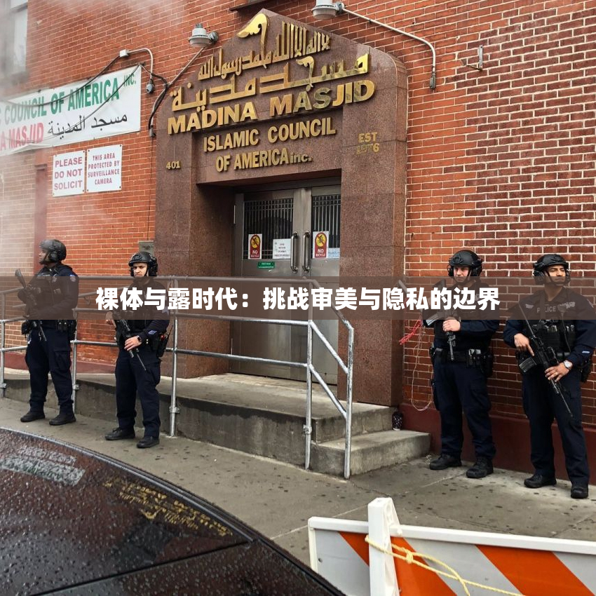 裸体与露时代：挑战审美与隐私的边界