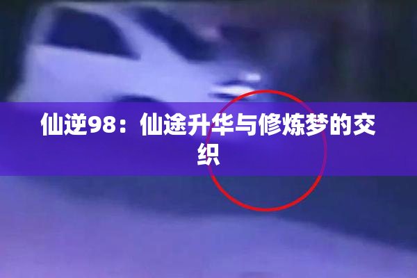 仙逆98：仙途升华与修炼梦的交织
