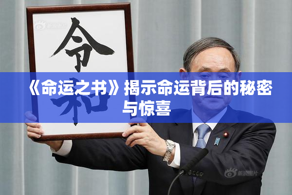 《命运之书》揭示命运背后的秘密与惊喜